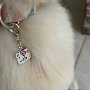 👑Pet collar charm